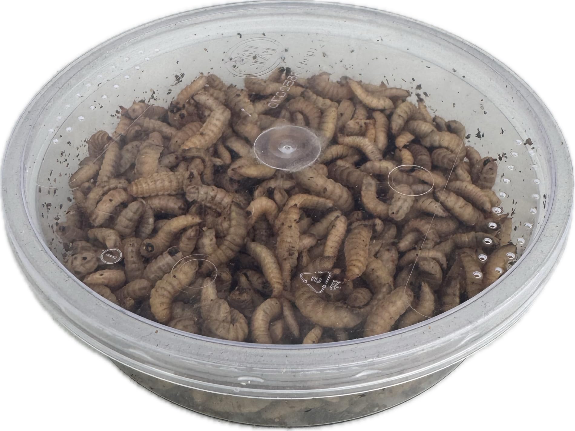 Livefood UK Live Calci Worms Available in tubs and bulk bags