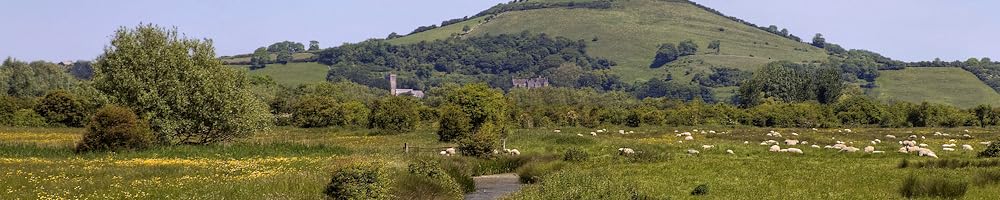 Landscape with green fields, trees, and a hill in the background