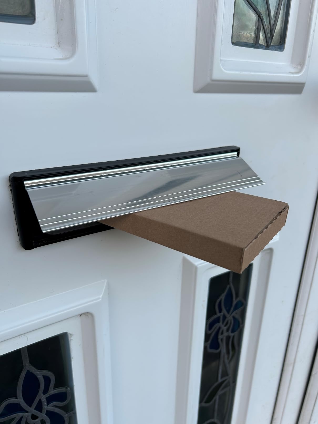 Live Fishing Bait 1 pint (300g) of Live Black Soldier Fly Maggots Parcel will fit through Letter box